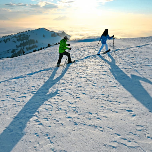 Winter Wonderland